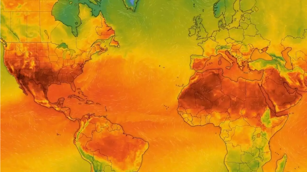 Temperaturas extremas siguen azotando al hemisferio norte y la ONU alerta: 'Vienen olas de calor más intensas'