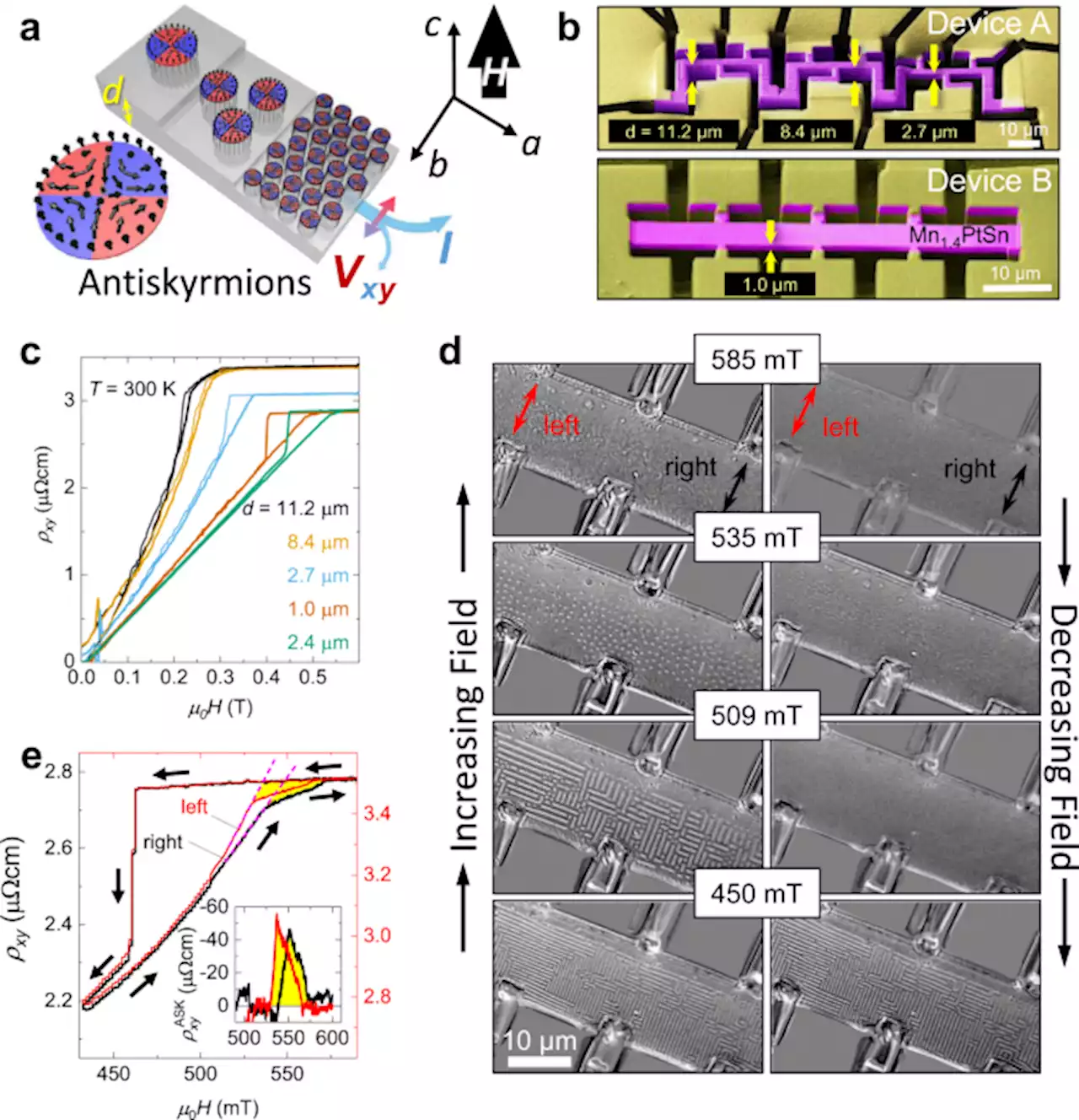 Antiskyrmions and their electrical footprint in crystalline mesoscale structures of Mn1.4PtSn - Communications Materials