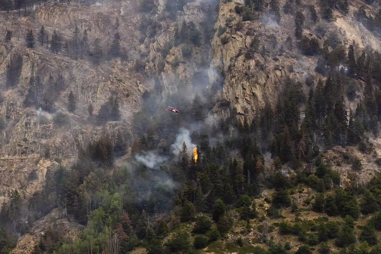 Waldbrand bei Bitsch VS: Über 24 Stunden im Löscheinsatz