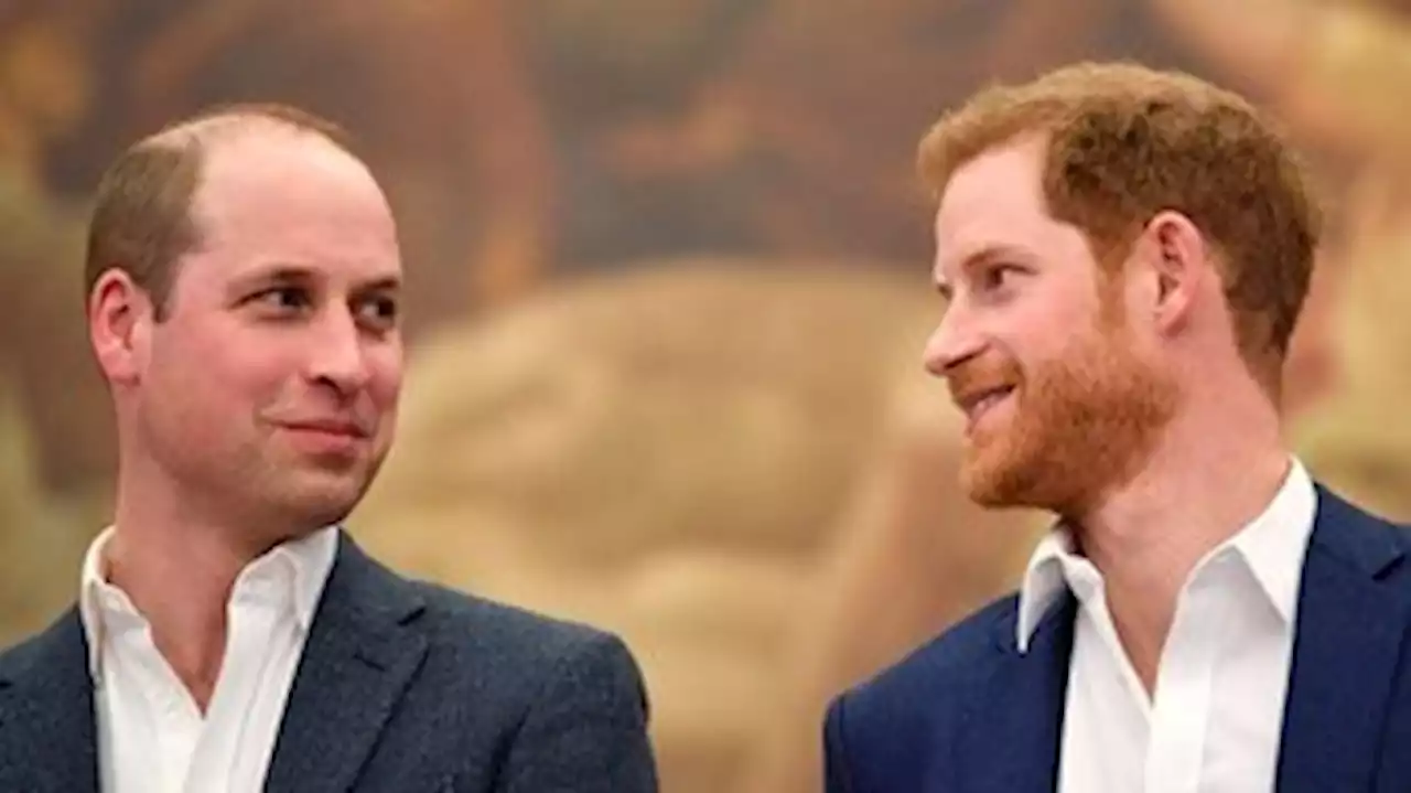 'A mala já está lá fora': Harry teria procurado William para retornar à Londres sem informar Meghan