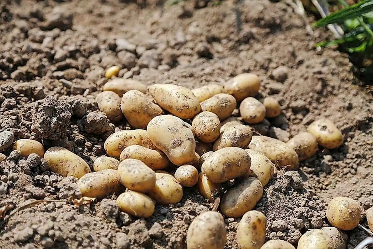 Geringes Angebot trifft auf tiefe Nachfrage