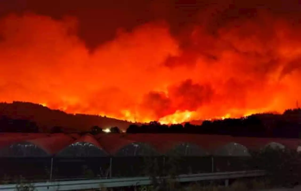 Incendi in Grecia, terzo giorno di roghi ad Atene, Rodi e Corinto