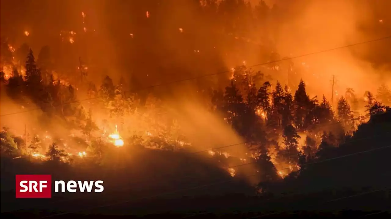 Flammen über Bitsch (VS) - 6 Behauptungen über Waldbrände im Faktencheck