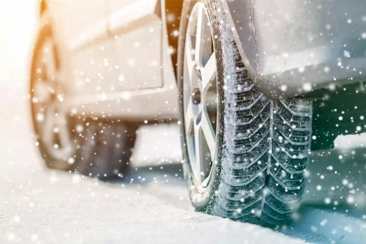 Weather: Dangerous driving conditions, livestock loss due to snow | The Citizen