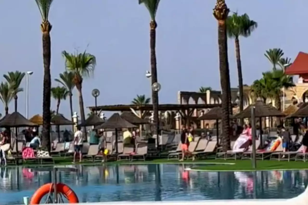 Holidaymakers use kids to score empty sun beds - as pool is swamped in seconds