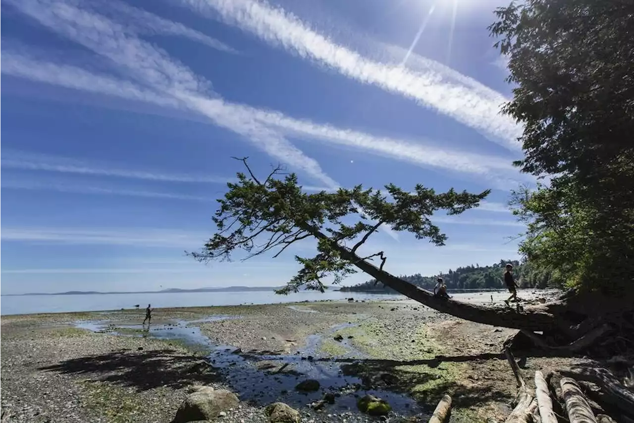 Teen assaulted after youth gathering at Mount Douglas beach