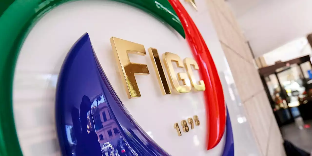 Riammissioni Serie B e C, Consiglio Figc anticipato al 24 luglio