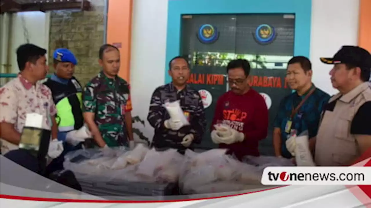 TNI AL Berhasil Gagalkan Penyelundupan Benih Bening Lobster ke Singapura Senilai Lebih dari Rp8 Miliar