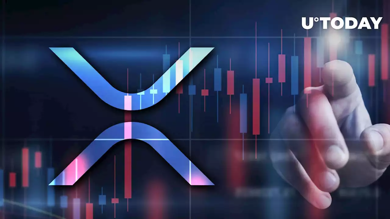 XRP Tops $0.8 After Major Price Spike