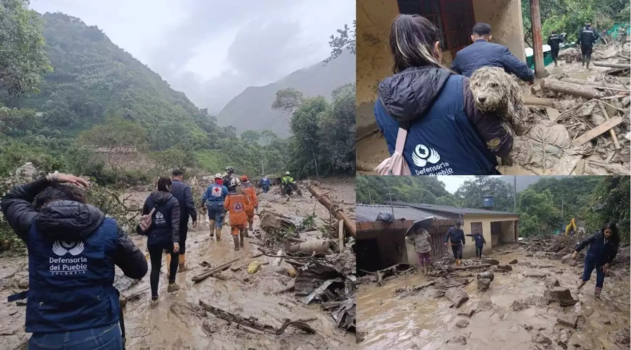 Defensoría del Pueblo verifica derechos de familias damnificadas por avalancha en Quetame