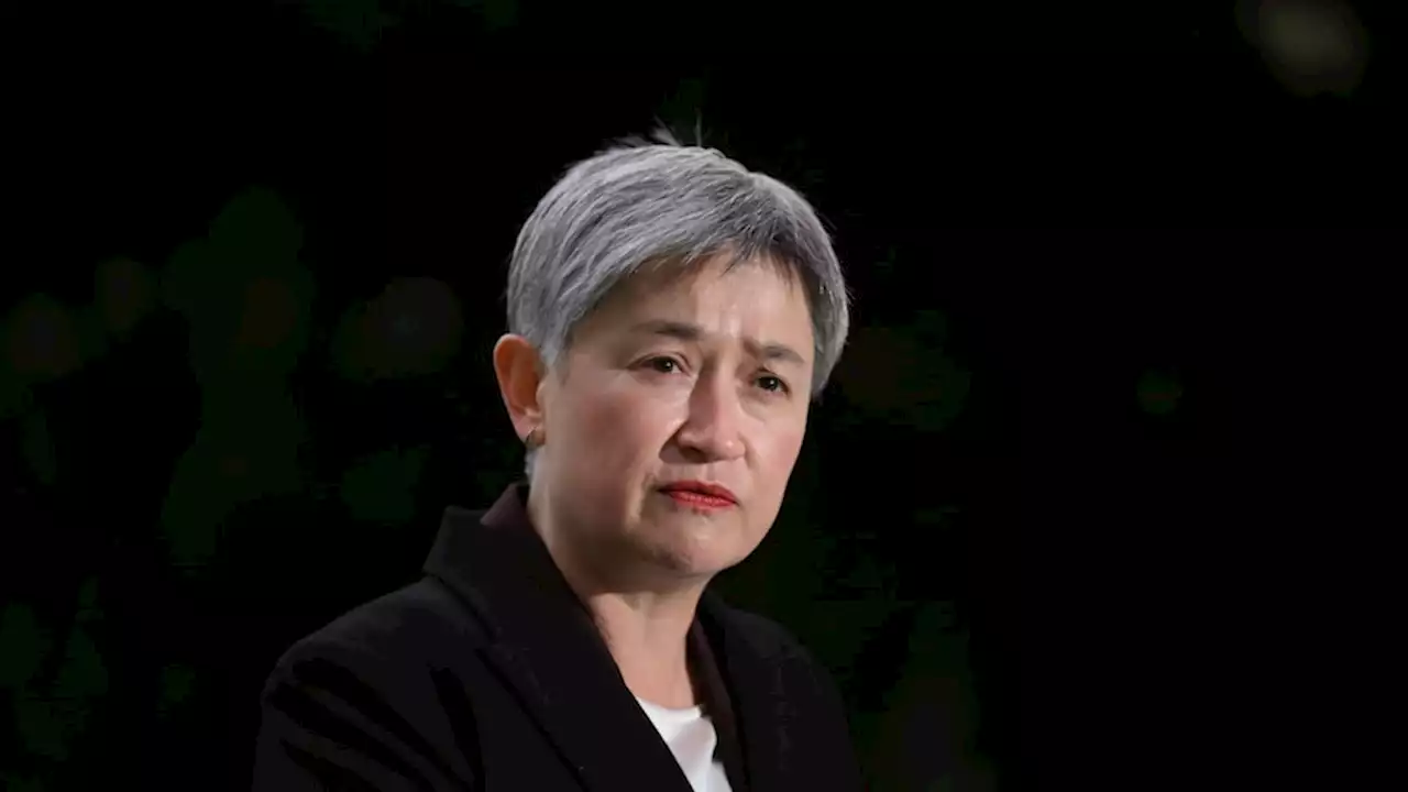 Ukraine ambassador asks Foreign Minister Penny Wong to visit Kyiv amid calls for more weaponry