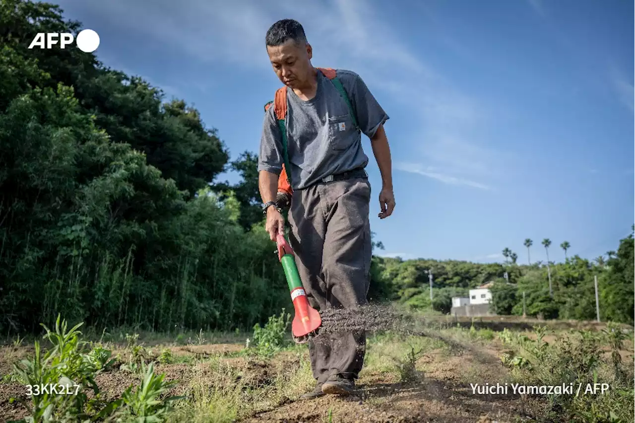 Le Japon se tourne vers les engrais d'origine humaine face à la poussée des prix