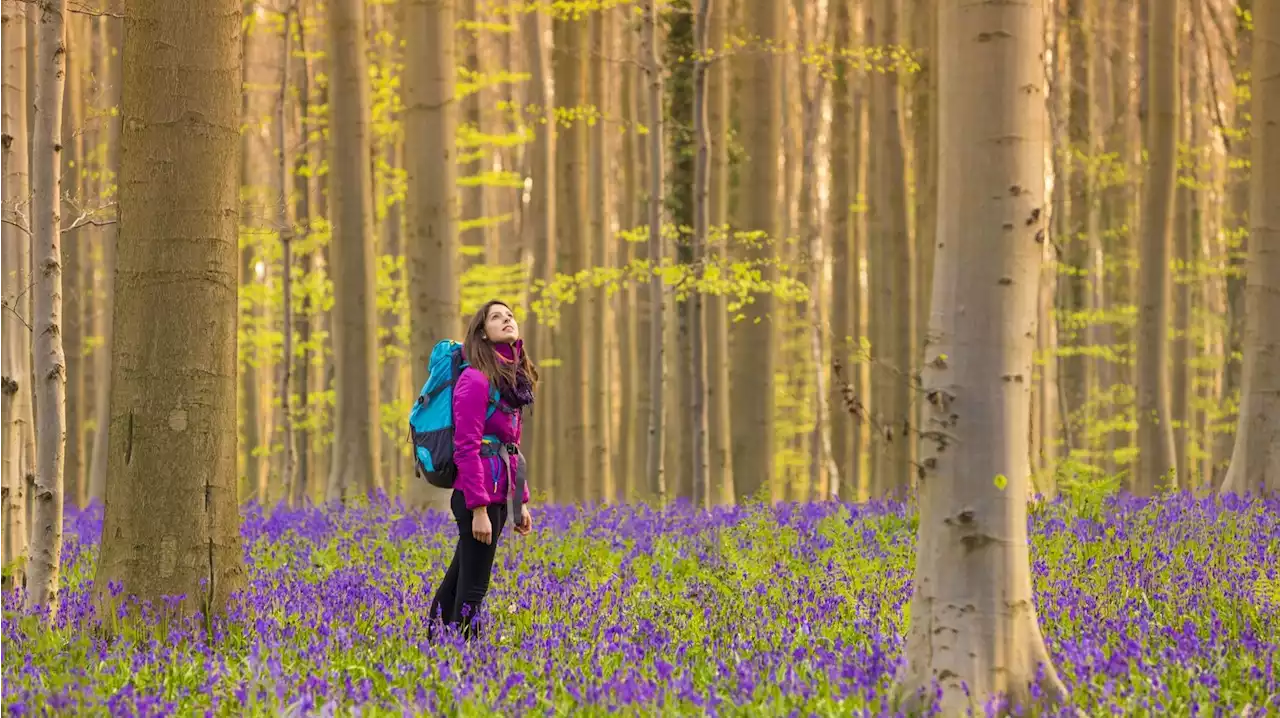 Vivre près d’espaces verts rend plus jeune de deux ans et demi, selon une étude