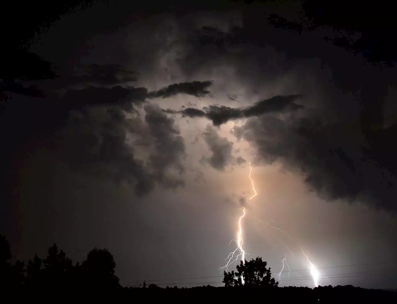 Lightning strike kills 31 cows in northern Alabama