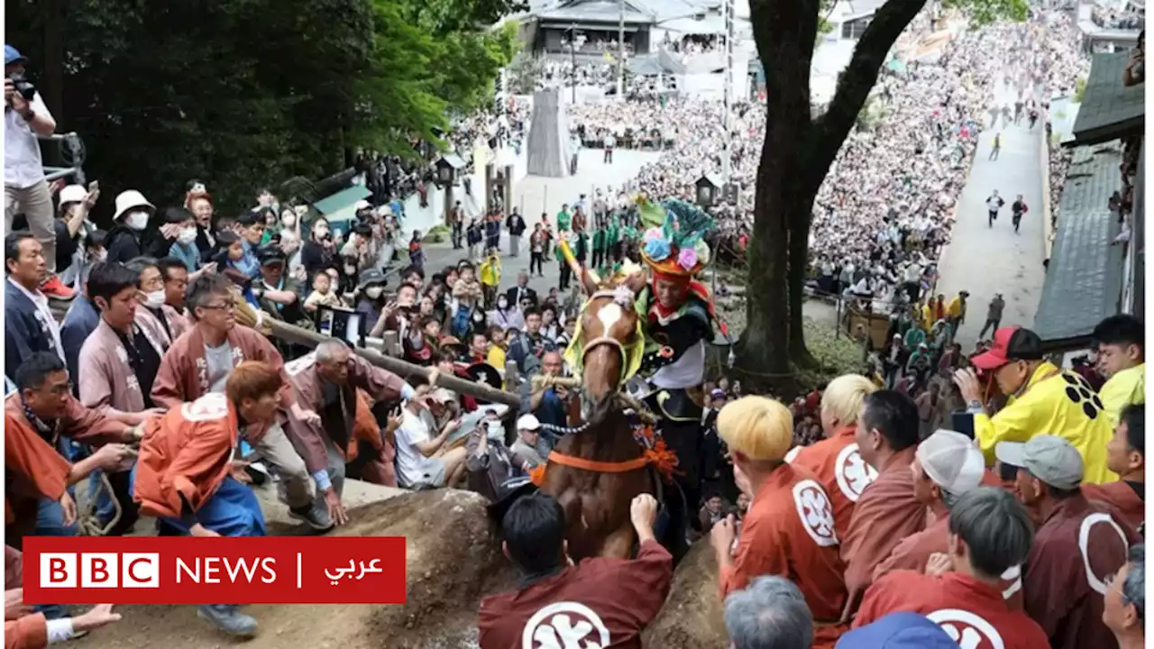 كيف يمكن لموت حصان أن يغيّر تقاليد مهرجان ياباني قديم؟ - BBC News عربي