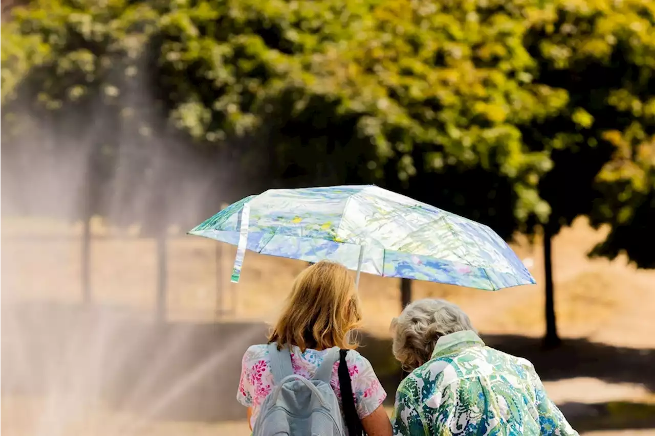 Umfrage: Mehrheit der Deutschen verschmäht Hitze im Sommer