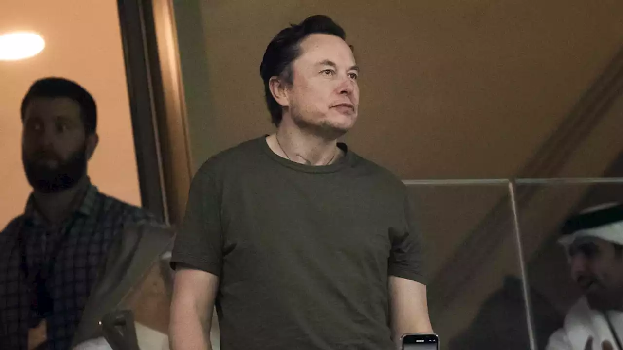 'Voyez vos amis': Elon Musk ironise sur les nouvelles limitations de Twitter