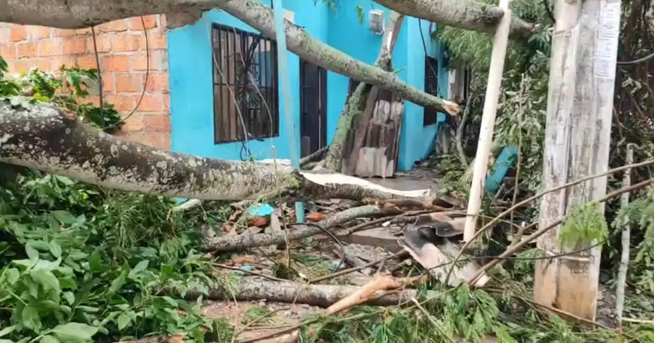 Fuerte vendaval destruyó casas, árboles y redes eléctricas en la Comuna 1 de Barrancabermeja