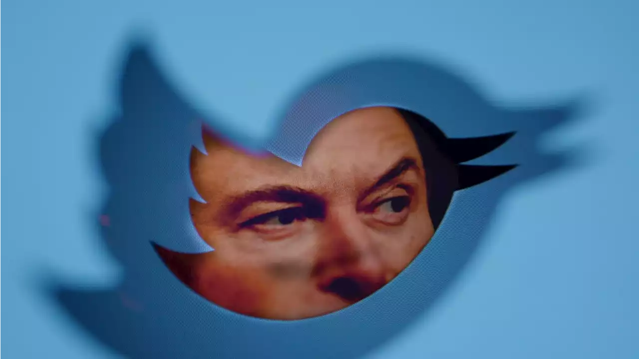 Backlash as Twitter owner Musk limits number of tweets users can see per day