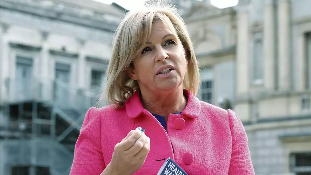 Shane Coleman: Squeeze on Sinn Féin’s commanding lead in opinion polls as election nears