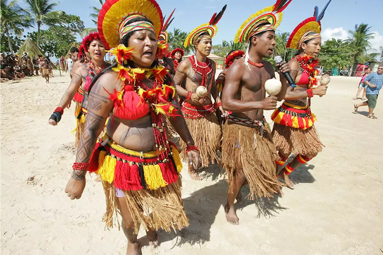 Fartos de esperar demarcação, pataxós ocupam território reivindicado no sul da Bahia