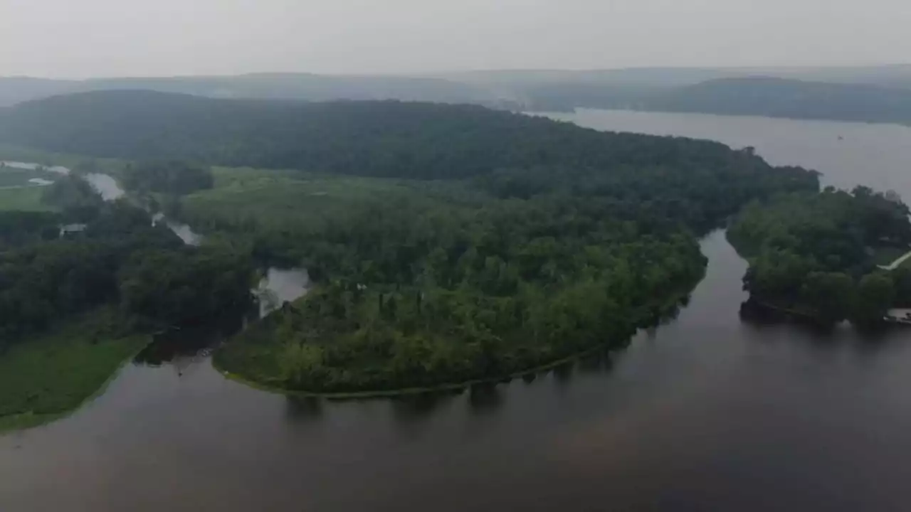 Rabid bobcat attacks sleeping camper during youth trip at a Connecticut state park, officials say | CNN