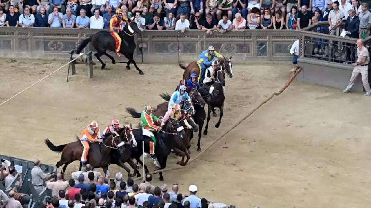 Palio di Siena oggi 2 luglio 2023, ha vinto la Selva con Tittia