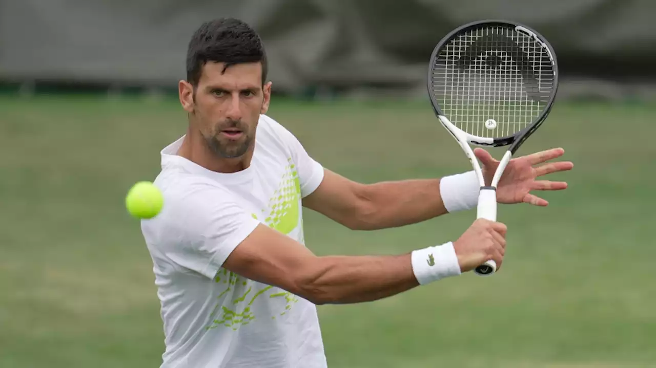 Novak Djokovic's bid for Wimbledon title No. 8 and Grand Slam trophy No. 24 starts on Monday