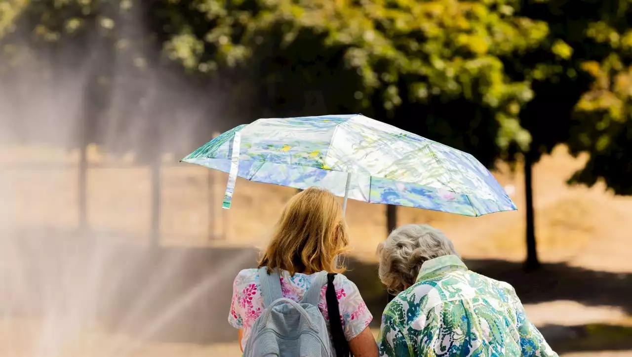 Umfrage zu Sommertemperaturen: Nur wenige mögen´s heiß