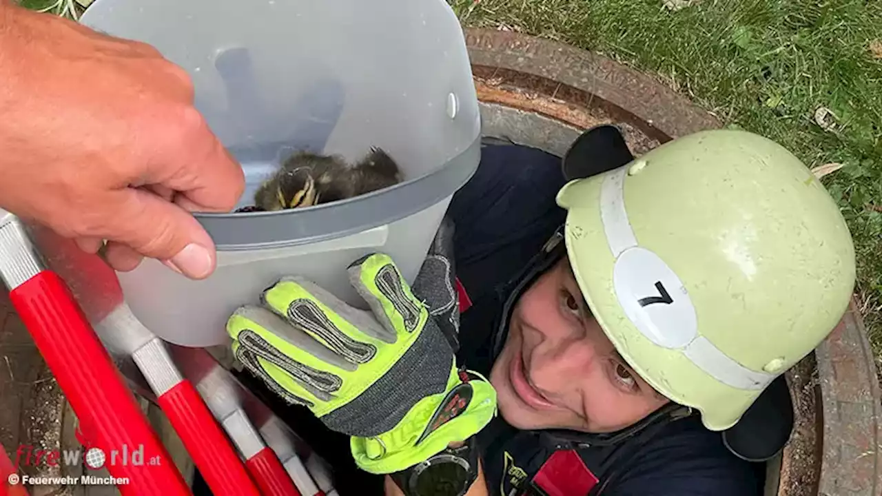 Bayern: Schlankester Feuerwehrmann zur Entenrettung in 5 m Schacht vor