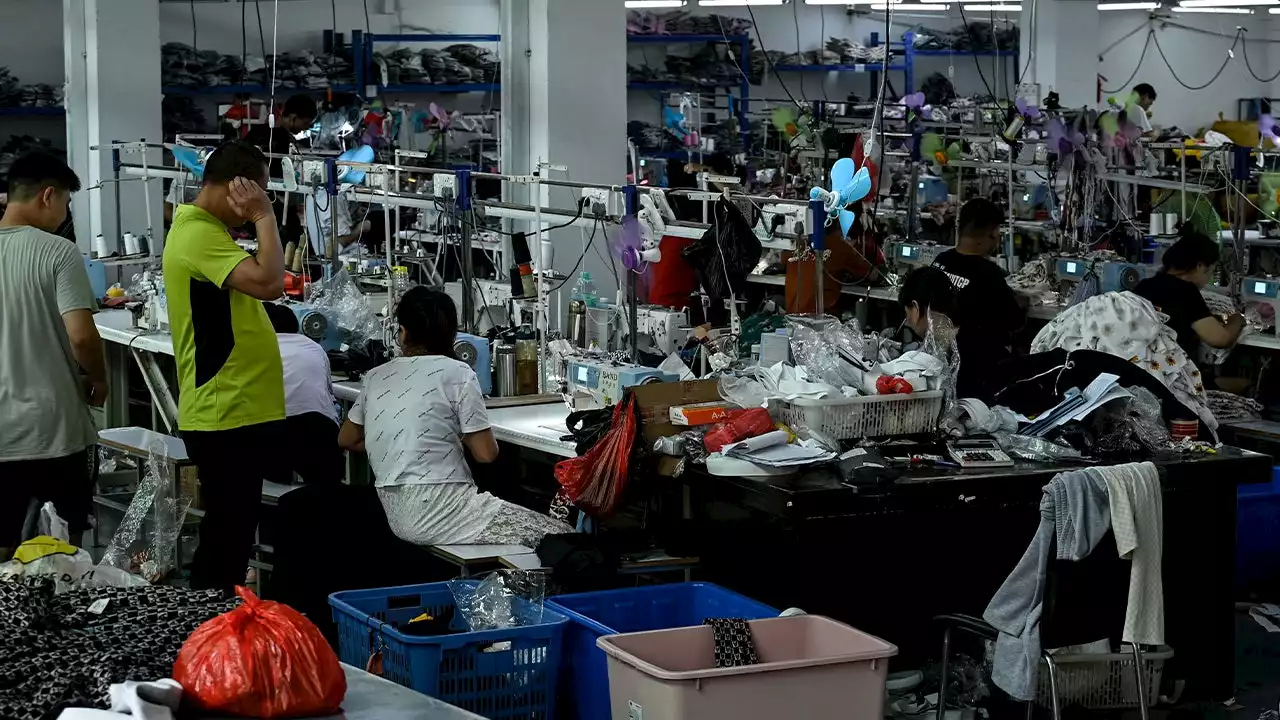 AI helping remove Chinese goods made with Uyghur forced labor from corporate supply chains