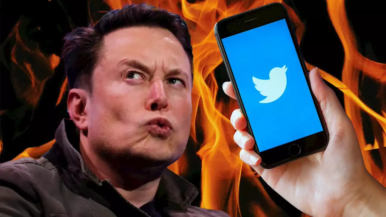 Der nächste Twitter-Stunt von Elon Musk hat weitreichende Folgen und sorgt für riesige Diskussionen