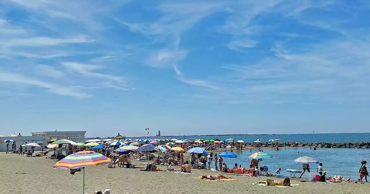 Fiumicino mon amour: pesce, barche e stelle. Una piccola guida