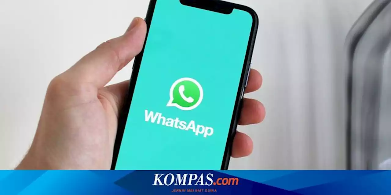 Kenapa Telepon WhatsApp Menghubungkan Ulang padahal Jaringan Bagus?