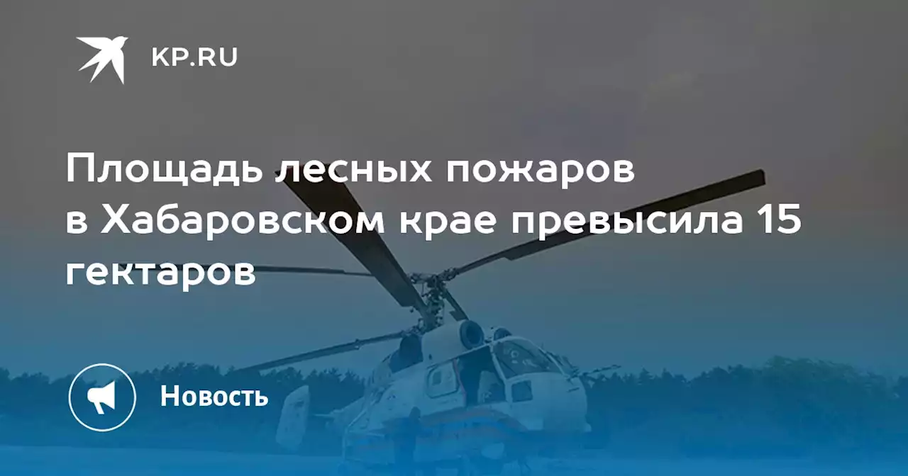 Площадь лесных пожаров в Хабаровском крае превысила 15 гектаров