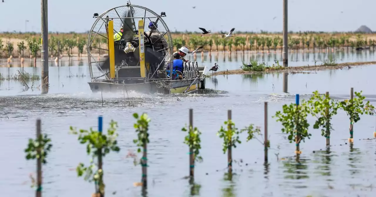 'It's a disaster': California farmer faces ordeal as pistachio farm sits underwater