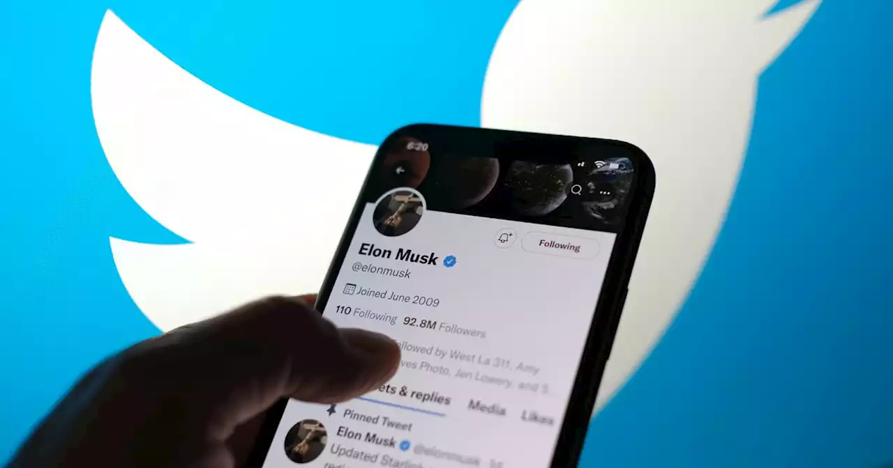 Twitter : pourquoi Elon Musk restreint la lecture des tweets