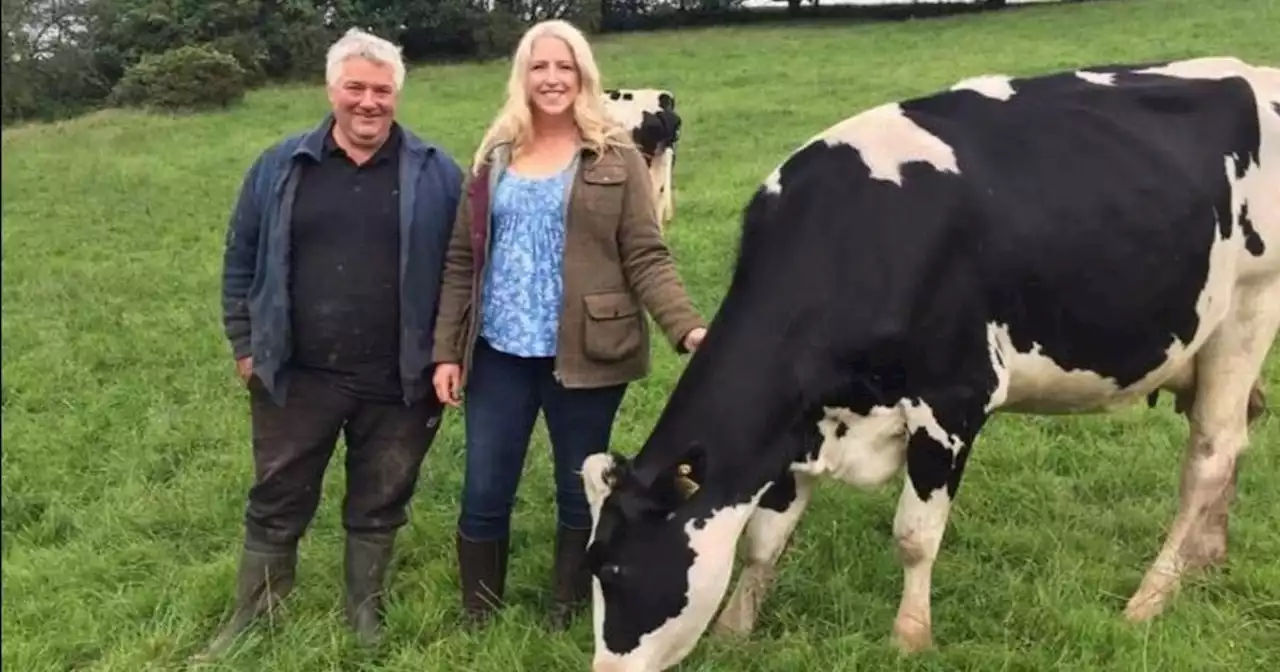 Dairy farmer speaks out on Brexit's impact on exodus from industry and food cost