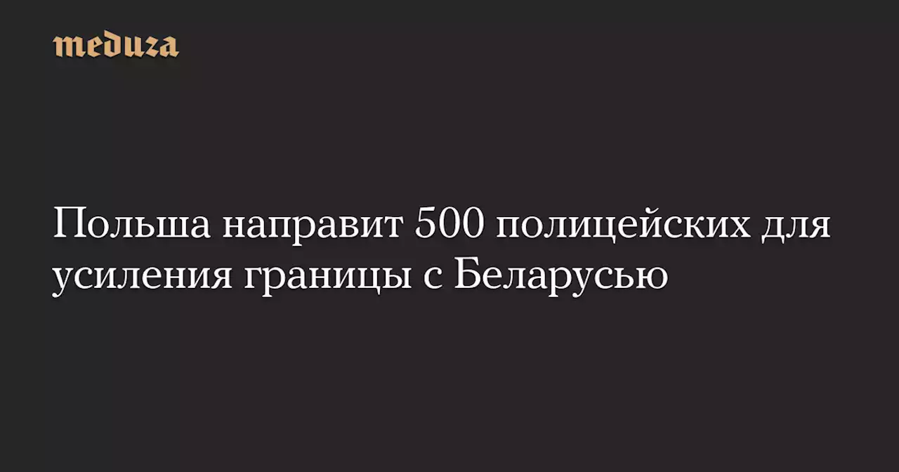 Польша направит 500 полицейских для усиления границы с Беларусью — Meduza