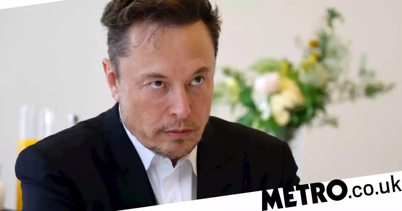 Love Island fans rage at 'wicked' Elon Musk for Twitter daily readings limits