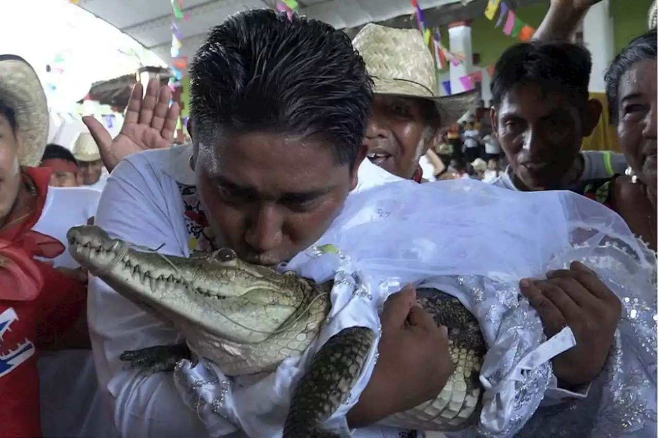 Mexican mayor weds a reptile – and couldn’t be happier | The Malaysian Insight