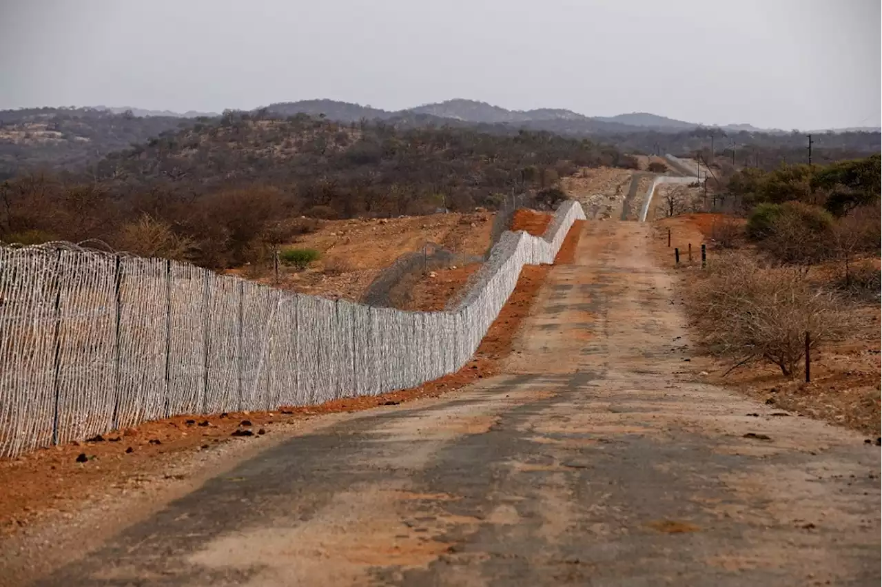 Ex-Beitbridge border staff convicted for helping to smuggle tobacco products worth R6m into SA | News24