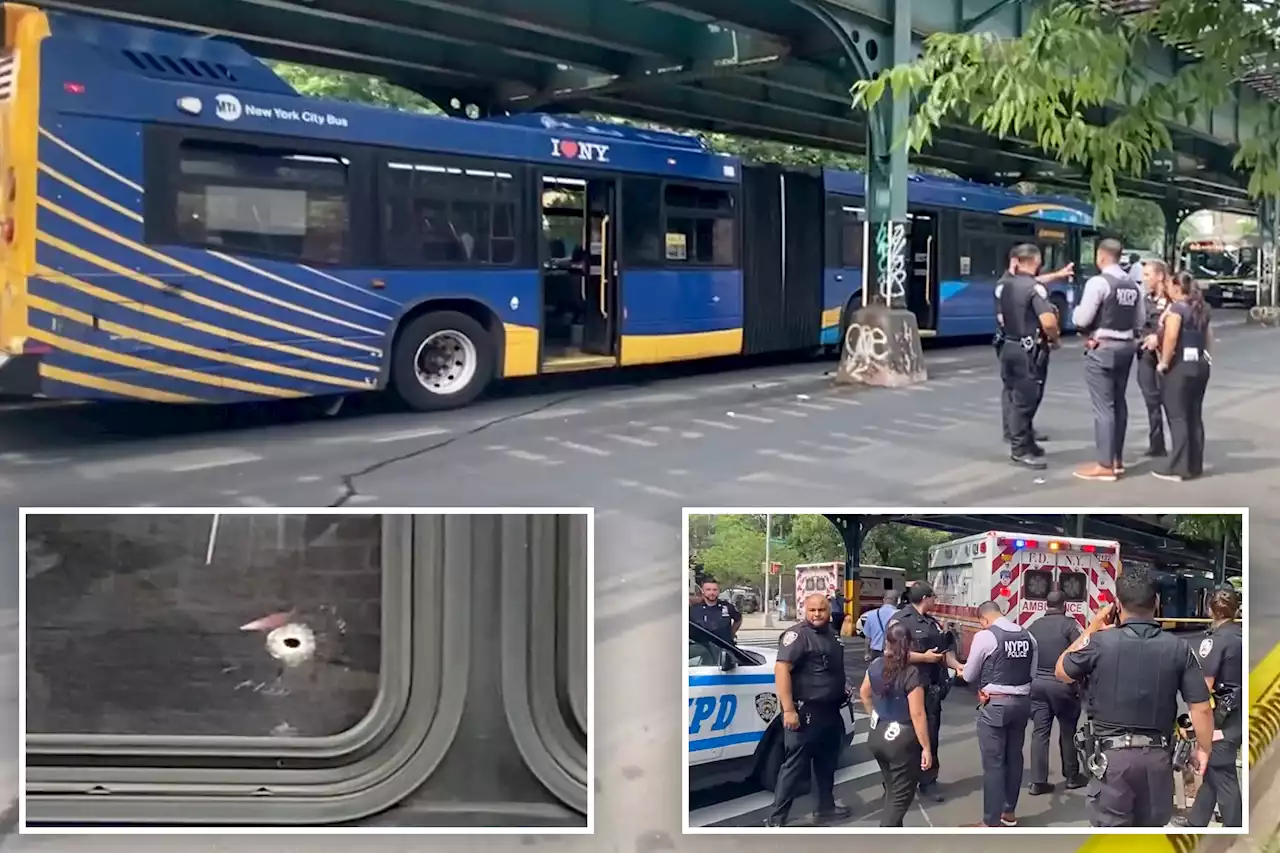 Two women shot by stray bullet while riding city bus in the Bronx: NYPD