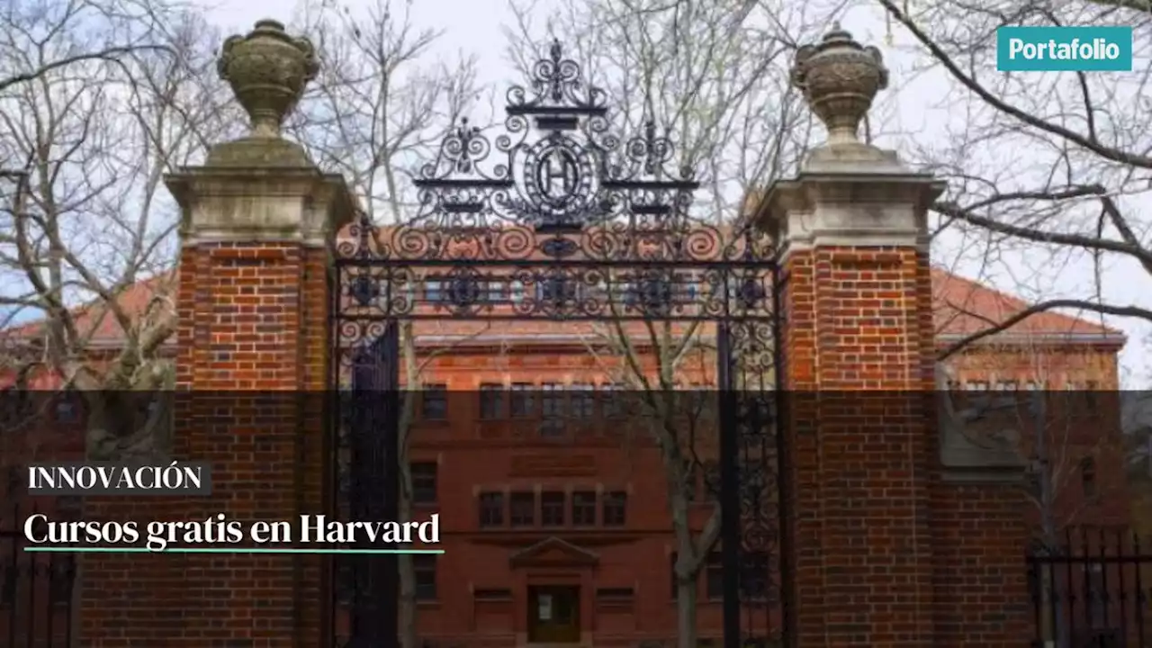 Cursos gratis en Harvard: lo que debe hacer si quiere inscribirse