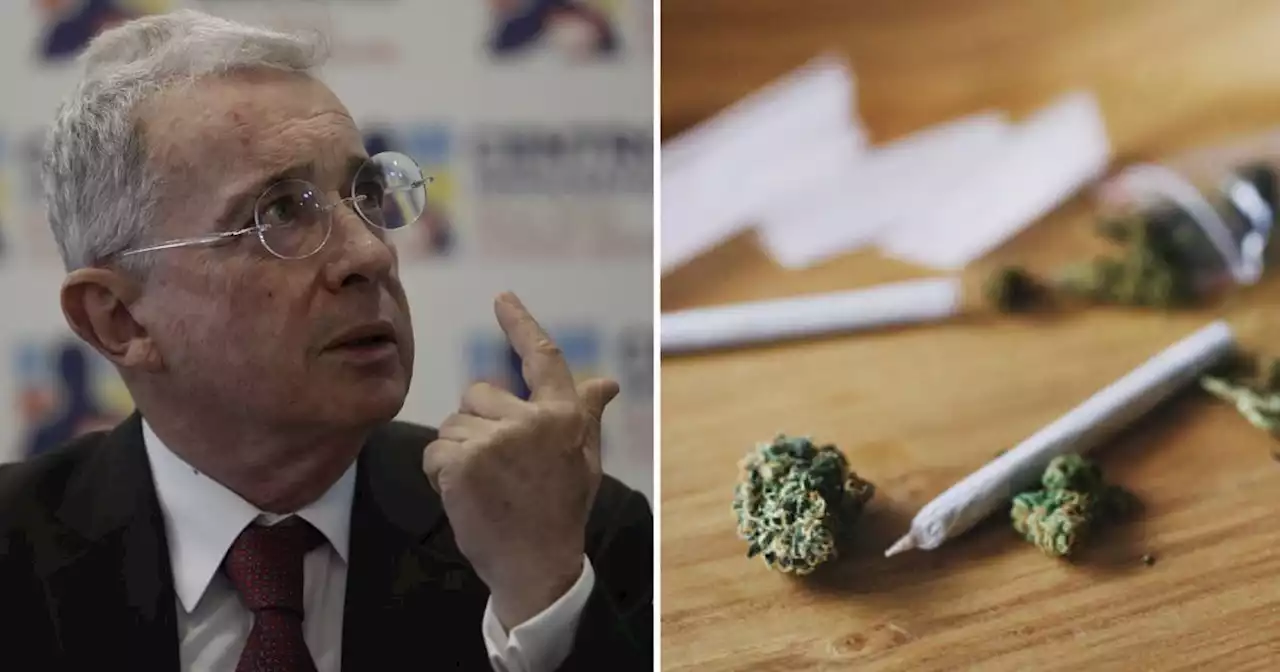 “No hay que enmarihuanar a los papás para resolver”: Uribe contra la regulación del cannabis