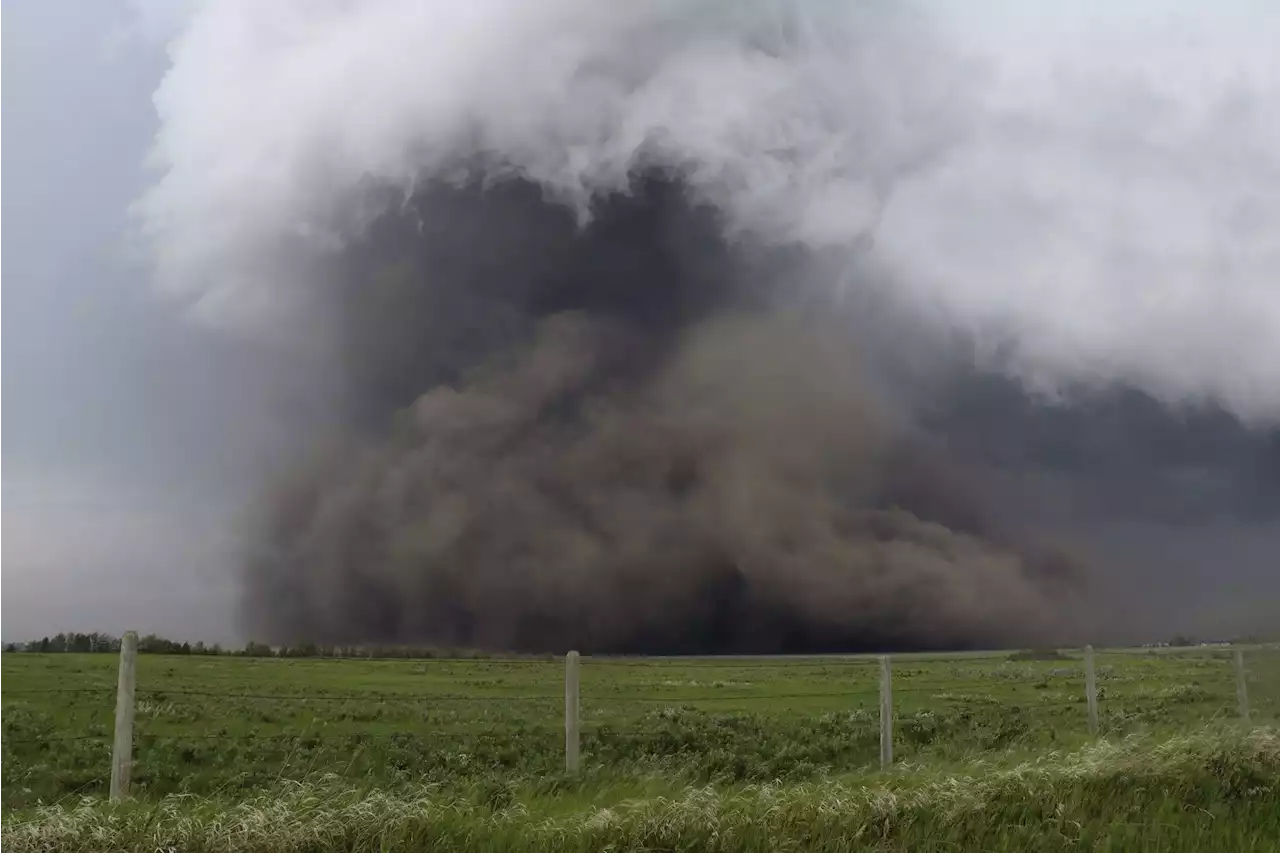 Gewaltiger Tornado zerstört Farmen und Felder - Schweizer Bauer