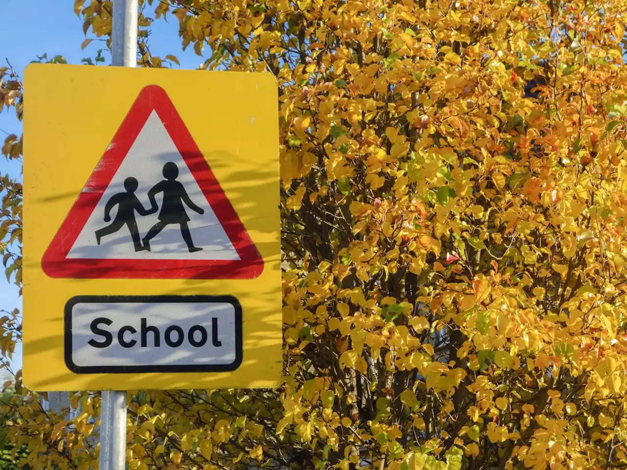 'School Streets' pilot to begin at six Shropshire schools early next year