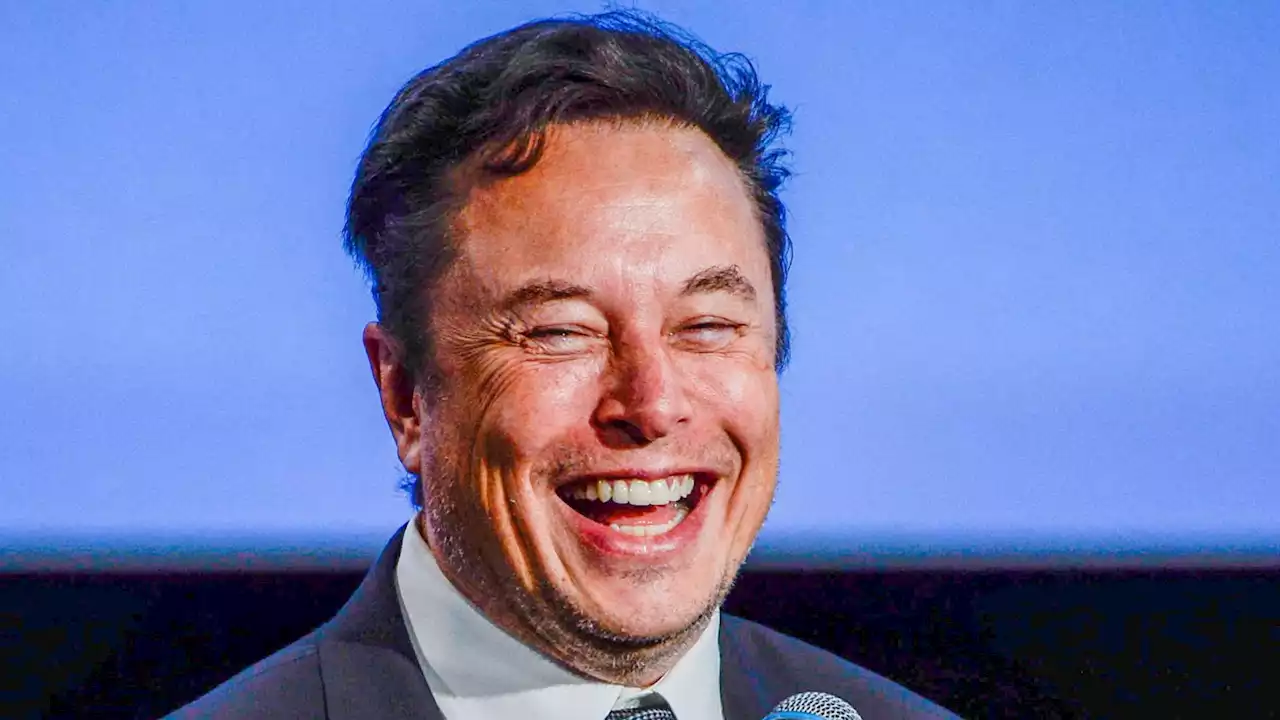 Elon Musk jokes about Twitter's new reading limits after users vent fury