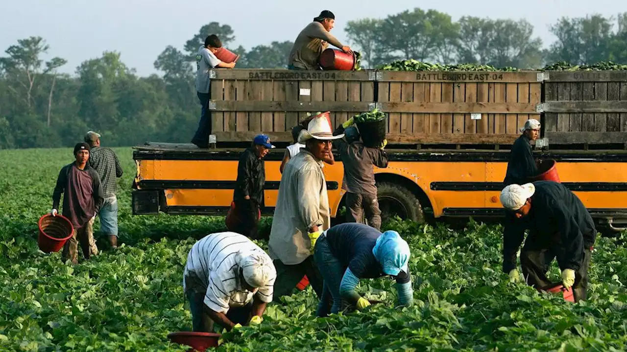 Lawmakers take third swing at reforming migrant worker visa law