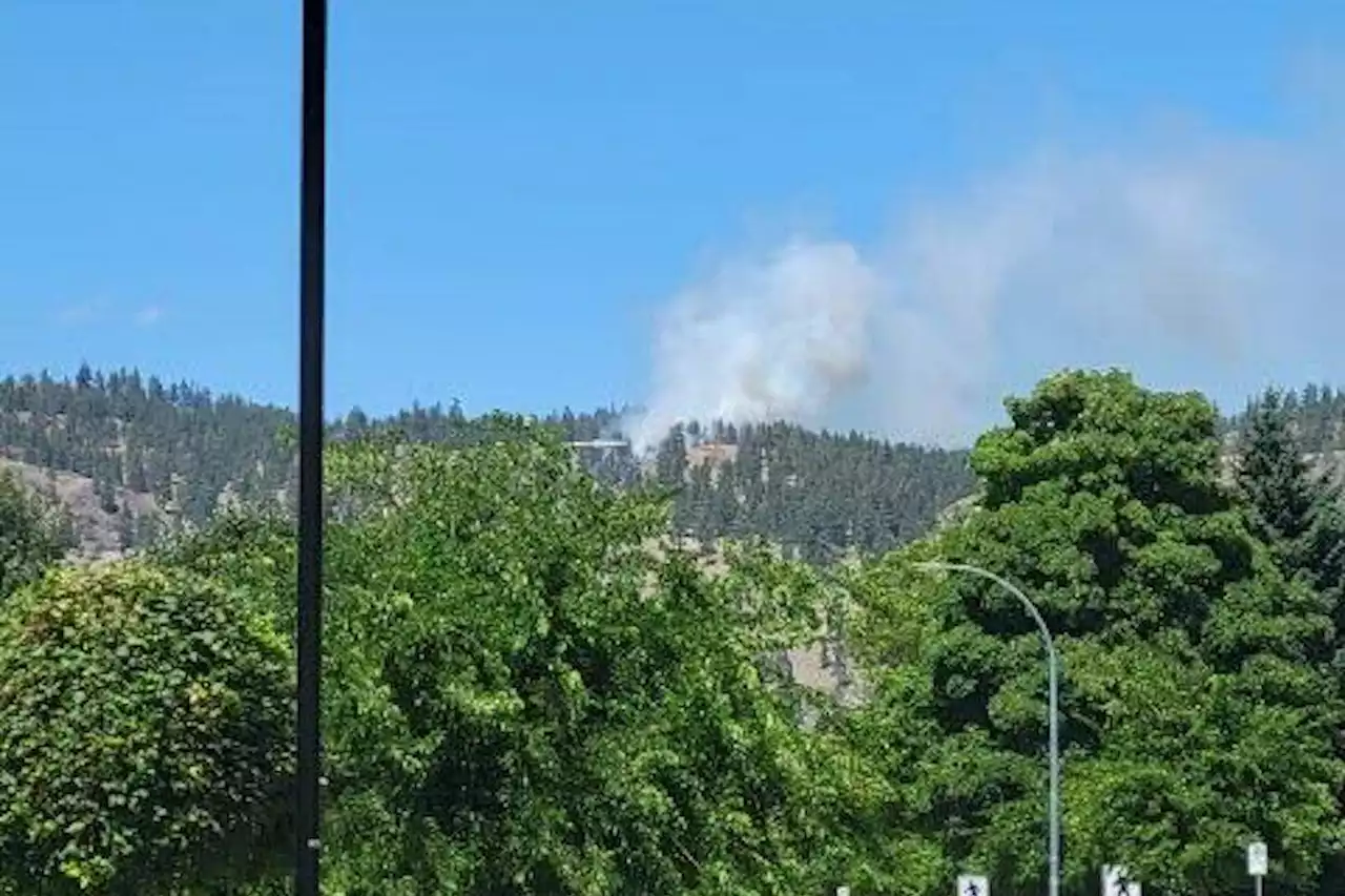 Wildfire breaks out on Kelowna’s Knox Mountain - Terrace Standard